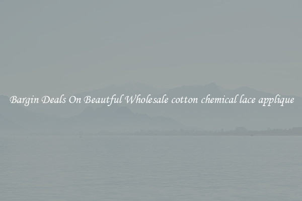 Bargin Deals On Beautful Wholesale cotton chemical lace applique