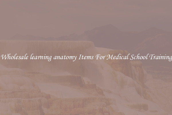 Wholesale learning anatomy Items For Medical School Training