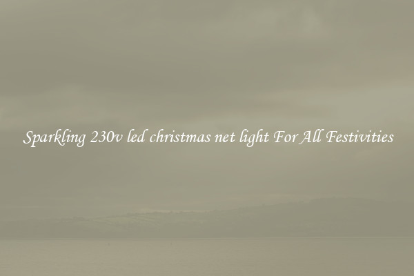 Sparkling 230v led christmas net light For All Festivities