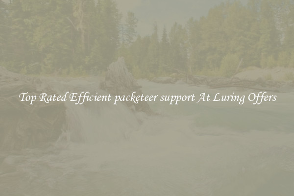 Top Rated Efficient packeteer support At Luring Offers