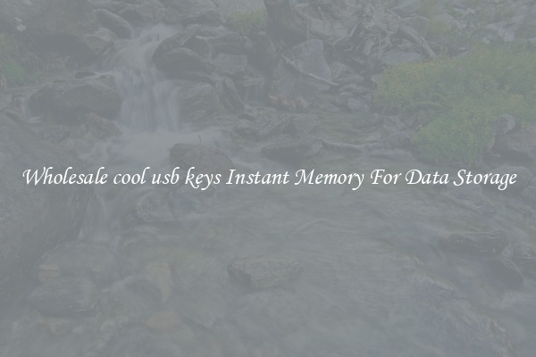 Wholesale cool usb keys Instant Memory For Data Storage
