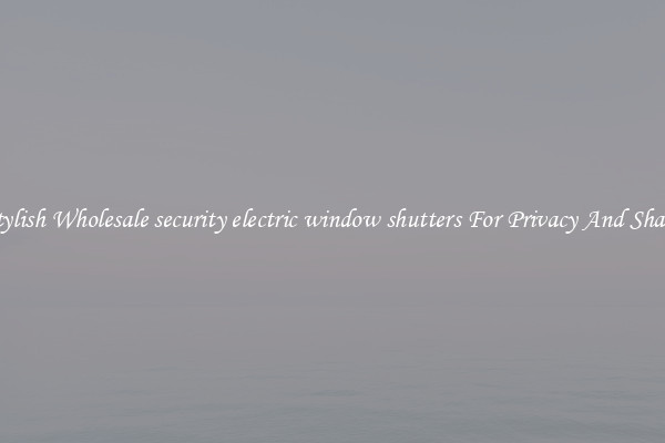 Stylish Wholesale security electric window shutters For Privacy And Shade