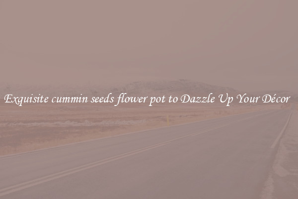 Exquisite cummin seeds flower pot to Dazzle Up Your Décor  
