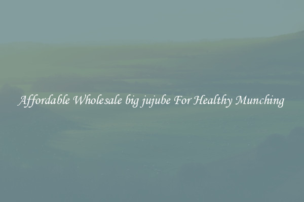 Affordable Wholesale big jujube For Healthy Munching 