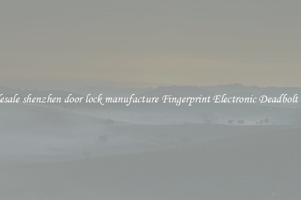 Wholesale shenzhen door lock manufacture Fingerprint Electronic Deadbolt Door 