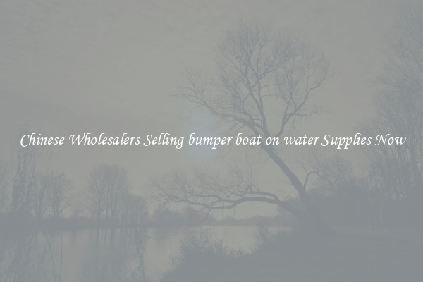 Chinese Wholesalers Selling bumper boat on water Supplies Now