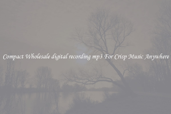 Compact Wholesale digital recording mp3 For Crisp Music Anywhere