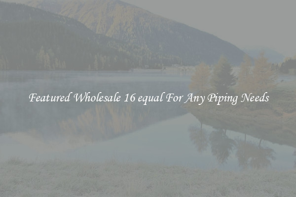 Featured Wholesale 16 equal For Any Piping Needs