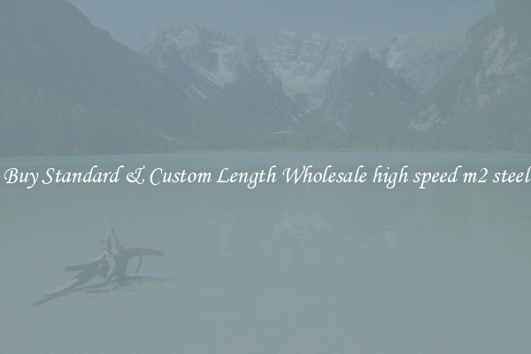 Buy Standard & Custom Length Wholesale high speed m2 steel