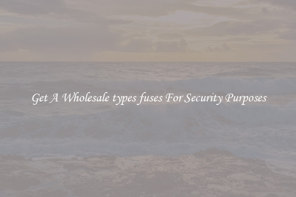 Get A Wholesale types fuses For Security Purposes