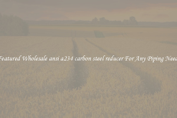 Featured Wholesale ansi a234 carbon steel reducer For Any Piping Needs