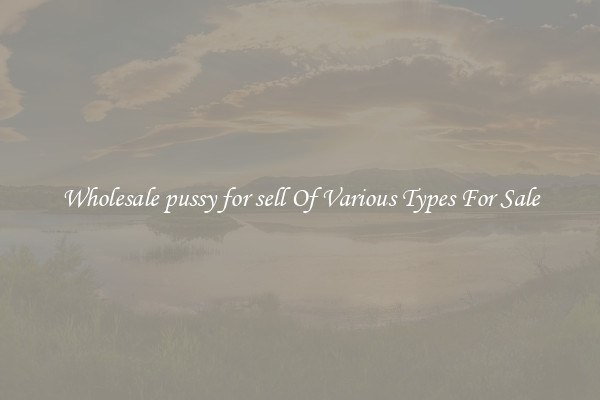 Wholesale pussy for sell Of Various Types For Sale