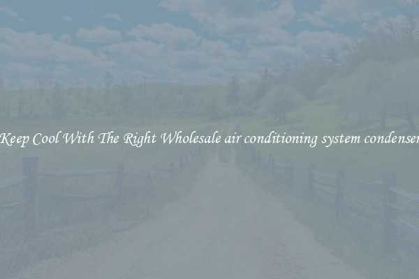 Keep Cool With The Right Wholesale air conditioning system condenser