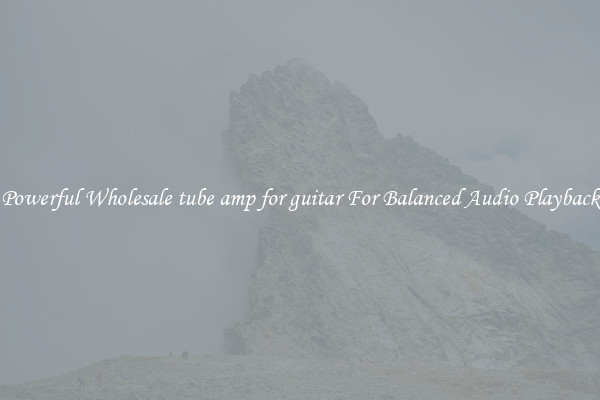 Powerful Wholesale tube amp for guitar For Balanced Audio Playback