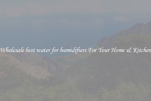 Wholesale best water for humidifiers For Your Home & Kitchen