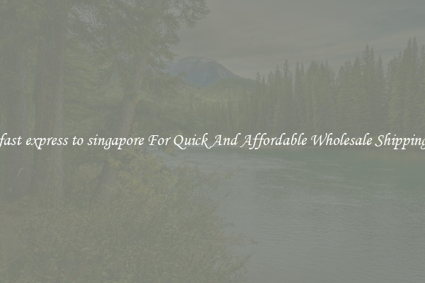 fast express to singapore For Quick And Affordable Wholesale Shipping