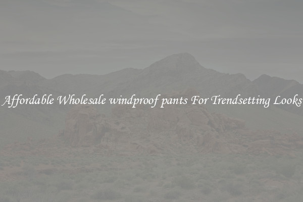 Affordable Wholesale windproof pants For Trendsetting Looks