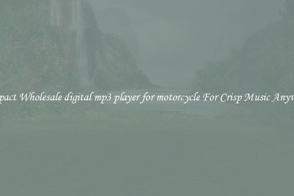 Compact Wholesale digital mp3 player for motorcycle For Crisp Music Anywhere