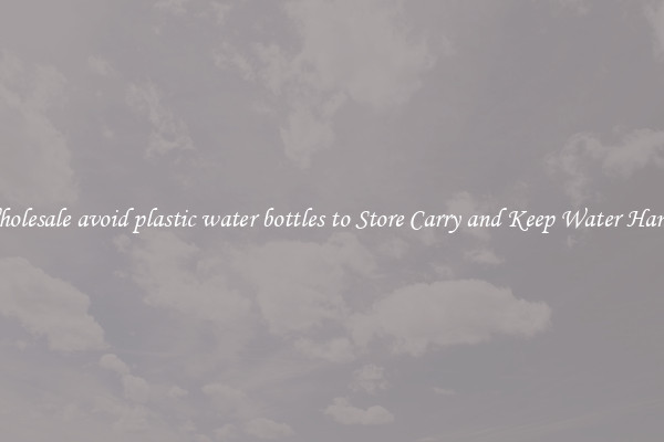 Wholesale avoid plastic water bottles to Store Carry and Keep Water Handy